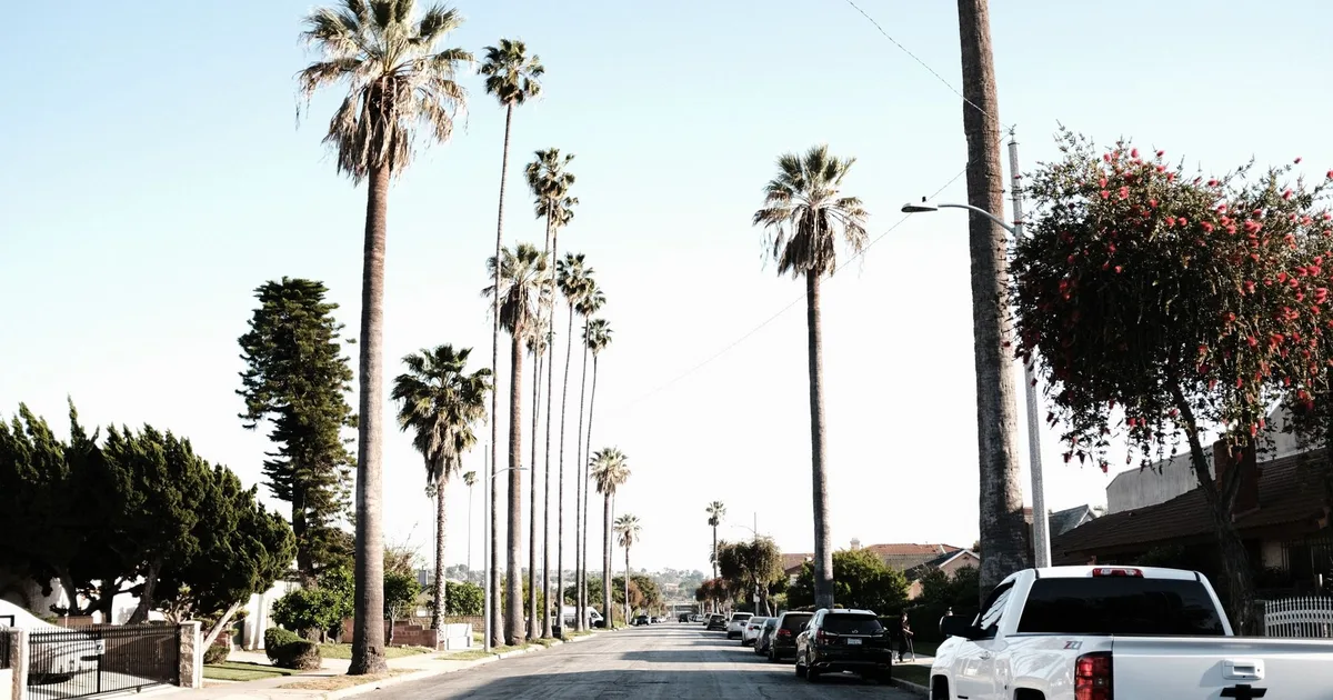 Cách lấy bằng lái xe California năm 2026: Hướng dẫn cho người Việt