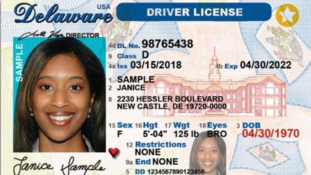 Delaware Driver's License 