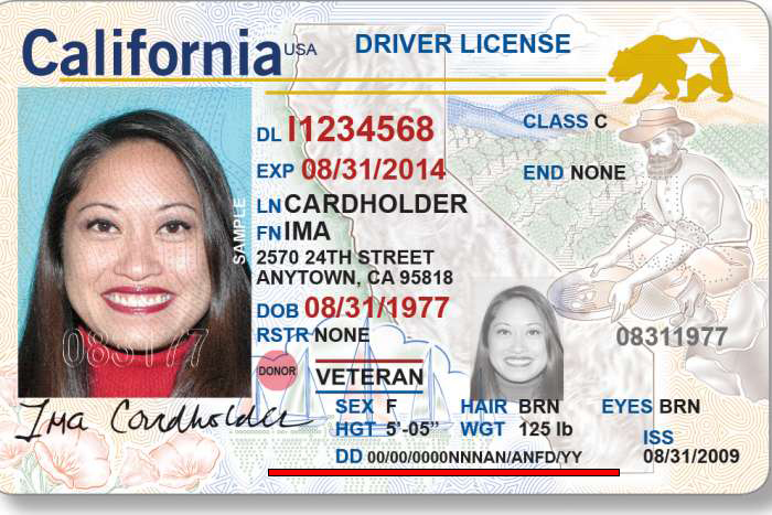 Driver License
