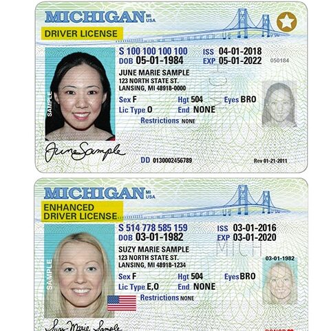 Michigan Driver's License