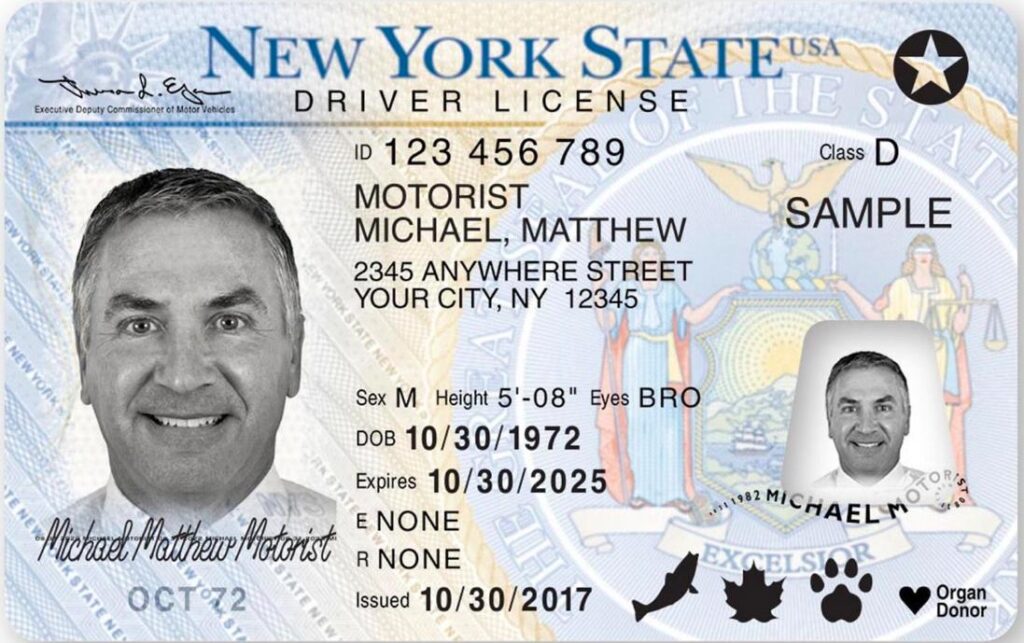 New York Driver's License