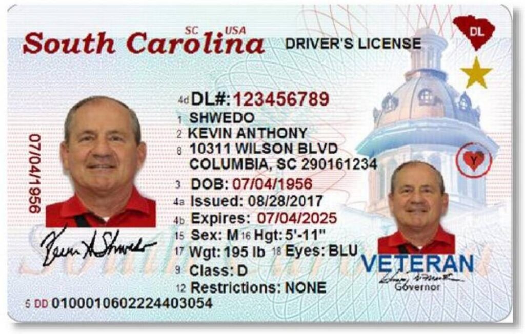 South Carolina Driver's License