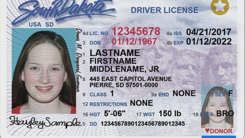 South Dakota Driver's License