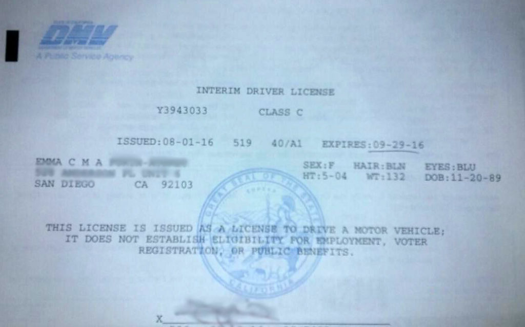 International Student Driver License