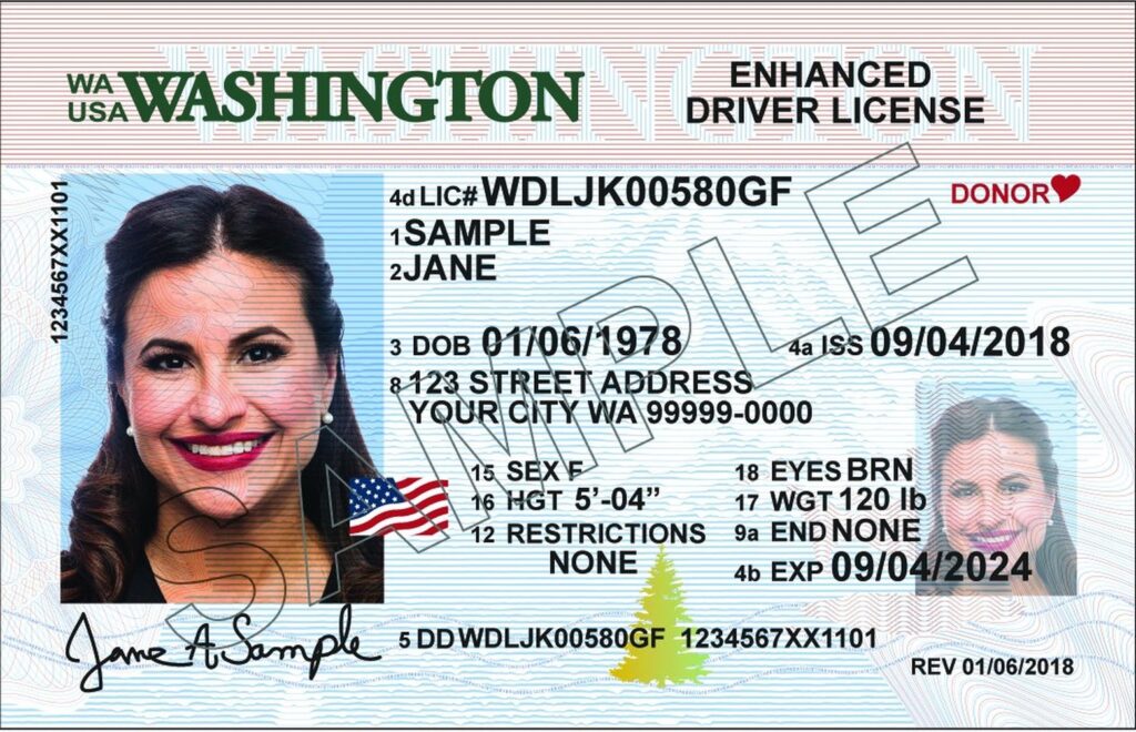 Washington Driver's License