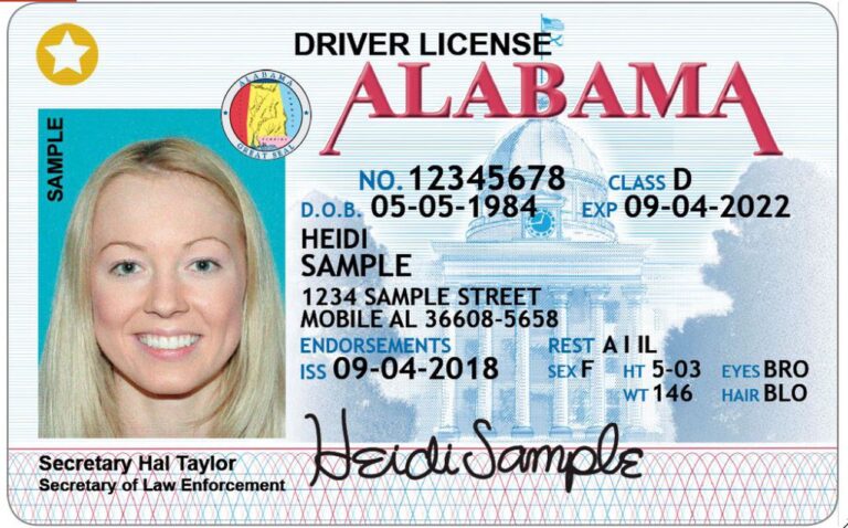 State Drivers Licenses Drivers License Designs By State