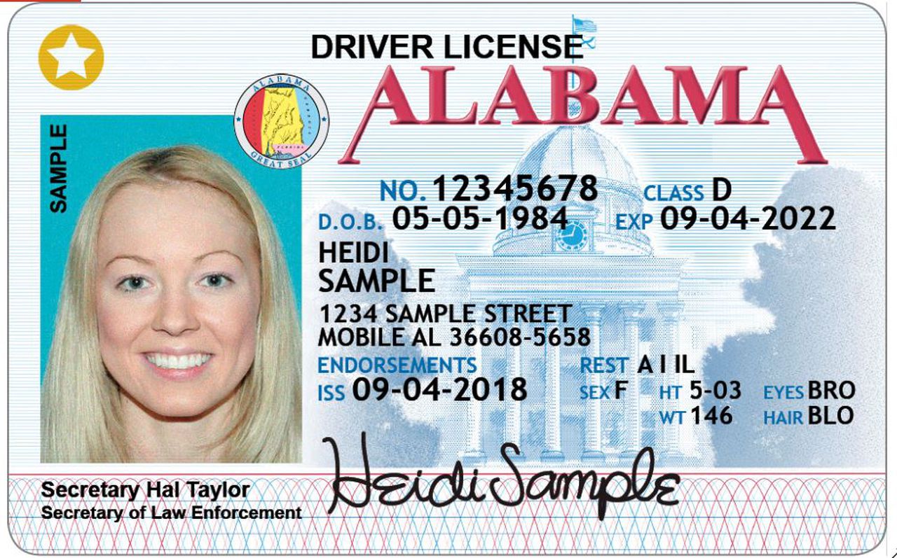 drivers license formats by state